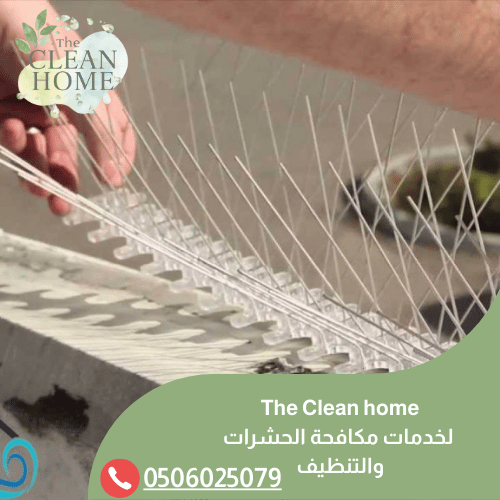 شركة تركيب طارد الحمام في أم القيوين