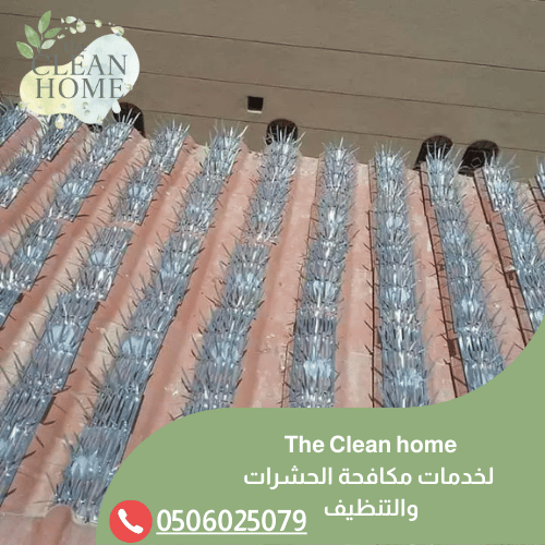 شركة تركيب طارد الحمام في أم القيوين