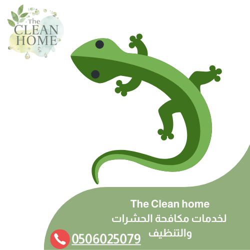 شركة مكافحة البرص في الشارقة