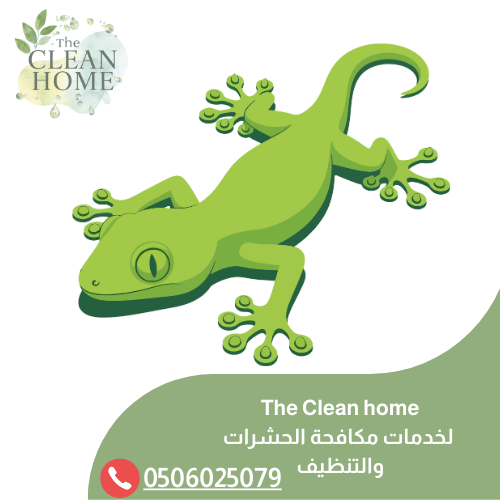 شركة مكافحة الوزغ في أم القيوين