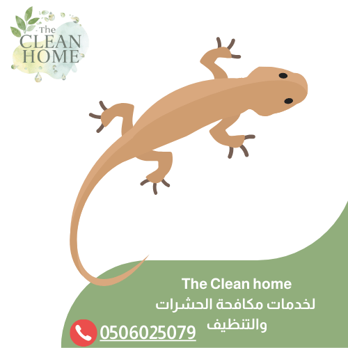 شركة مكافحة الوزغ في أم القيوين