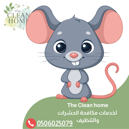 شركة مكافحة الفئران في الشارقة