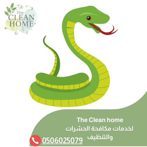 شركة مكافحة الثعابين في الشارقة