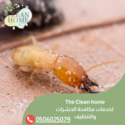 شركة مكافحة الرمة في أم القيوين